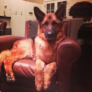 Meet your Posher, Amy